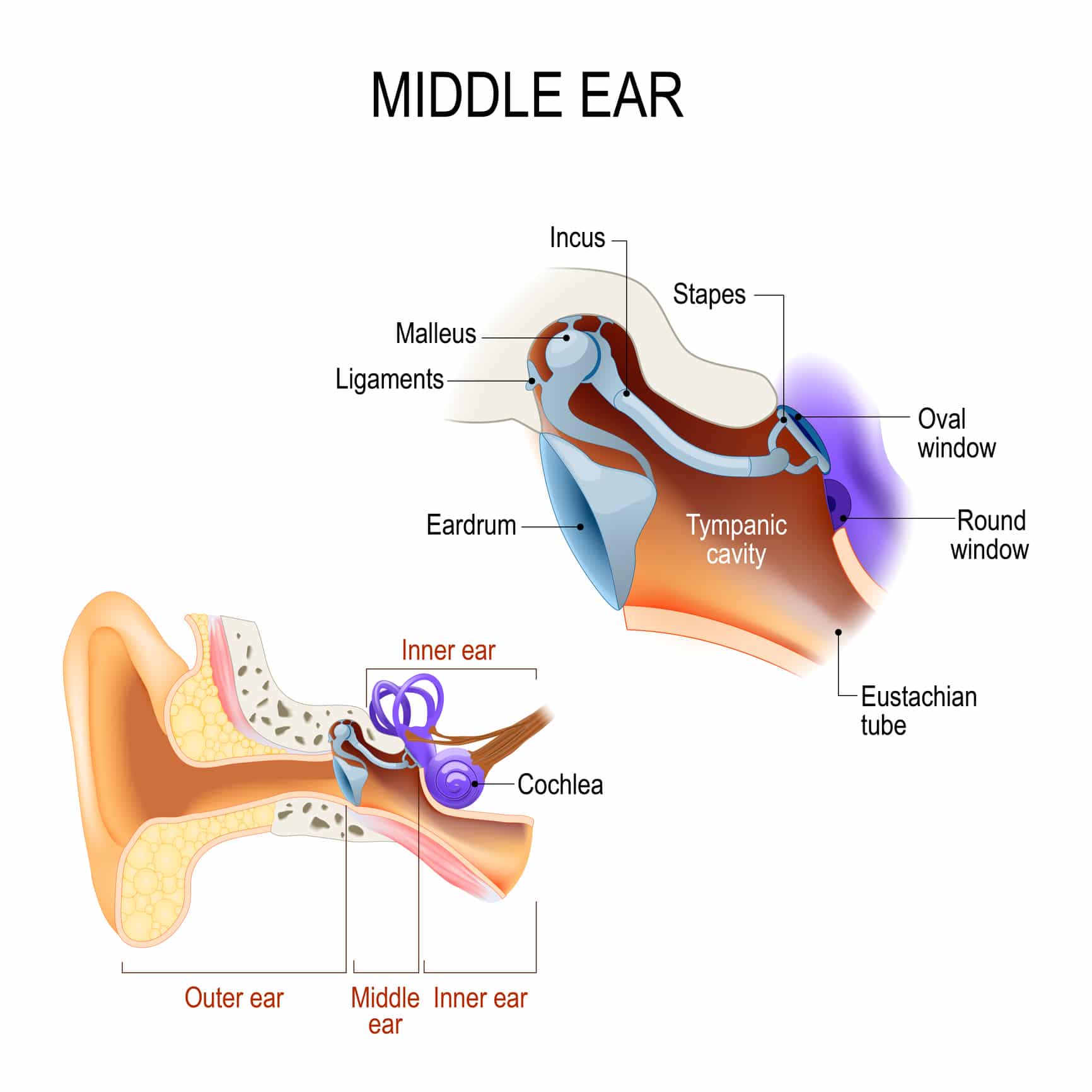 Ringing sound in my ear (tinnitus) – Have I gone mad? - Dr Gan Eng Cern