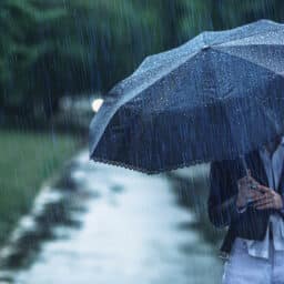 Person standing in the rain with a large umbrella