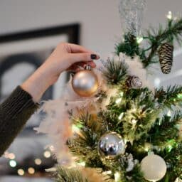 Close up of hand hanging an ornament high on a Christmas tree